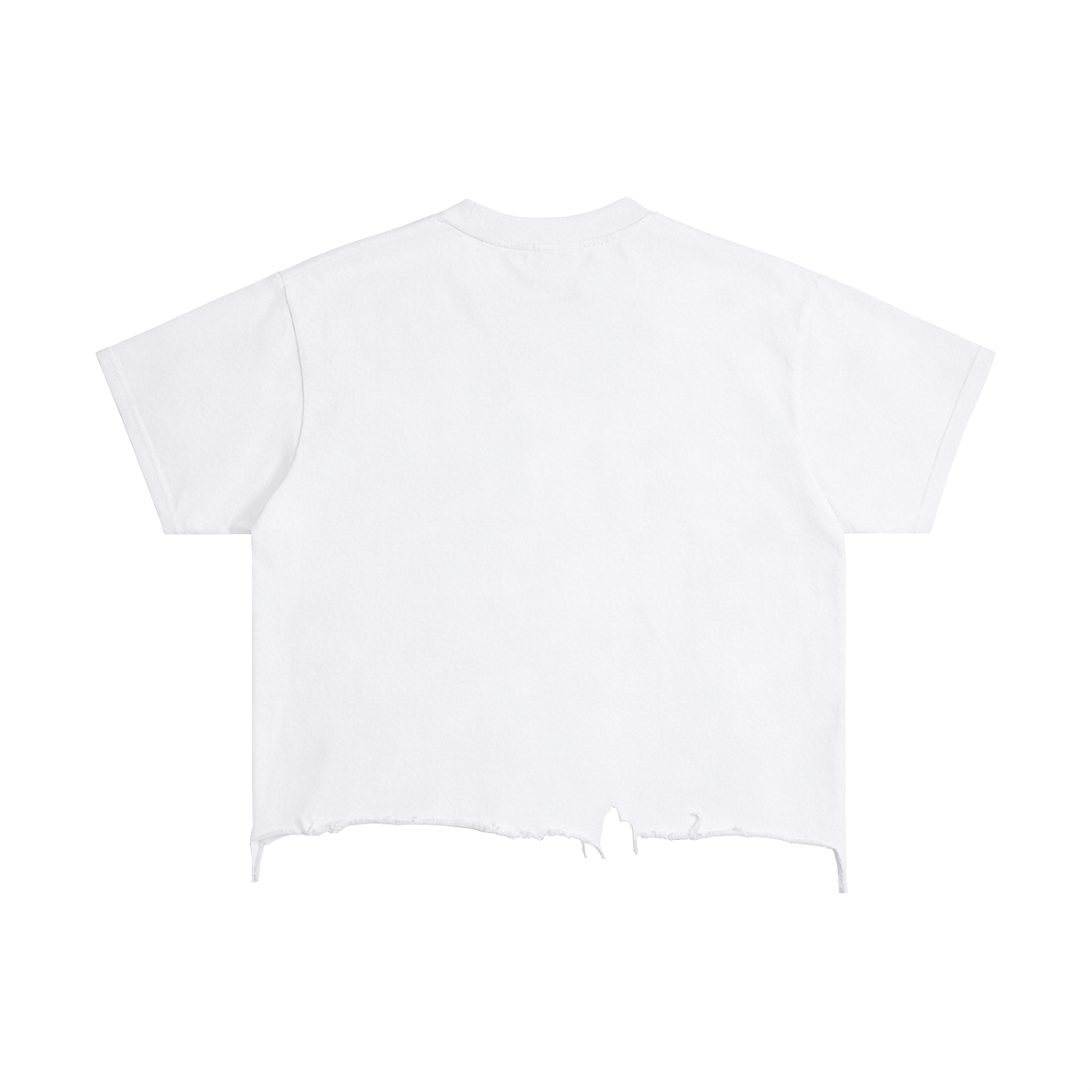"JESSE" DISTRESSED TEE